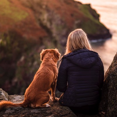 Walking Holidays with dogs Dog